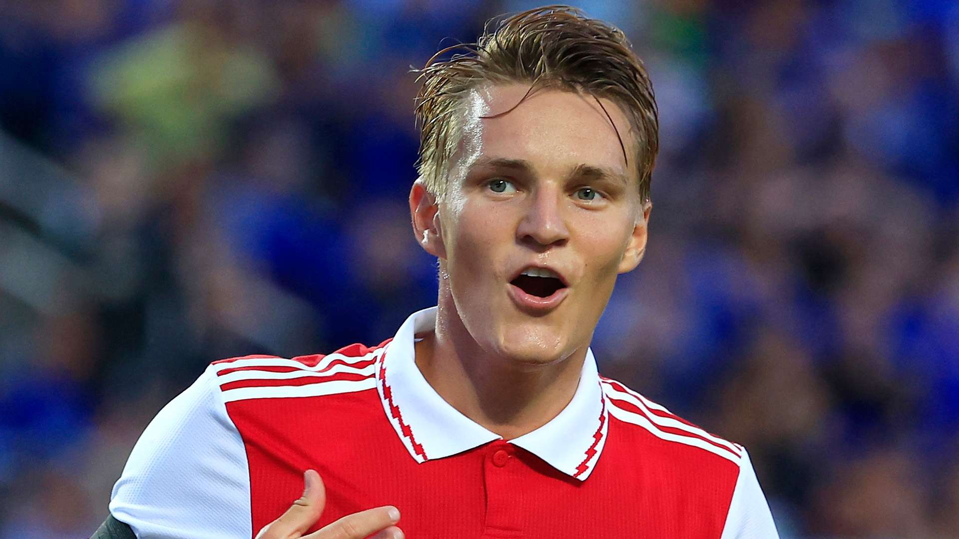 的法國天才 的法國天才