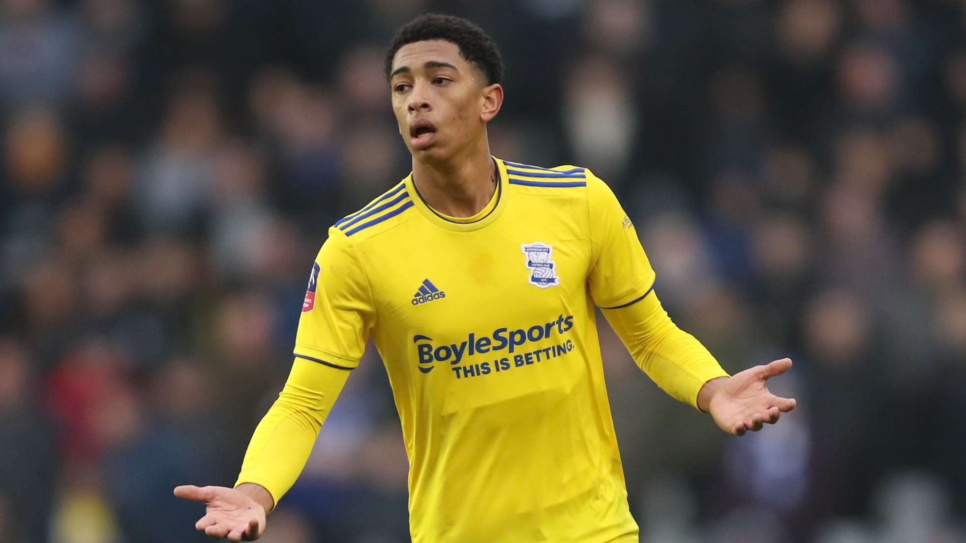 朱尼奧爾 朱尼奧爾