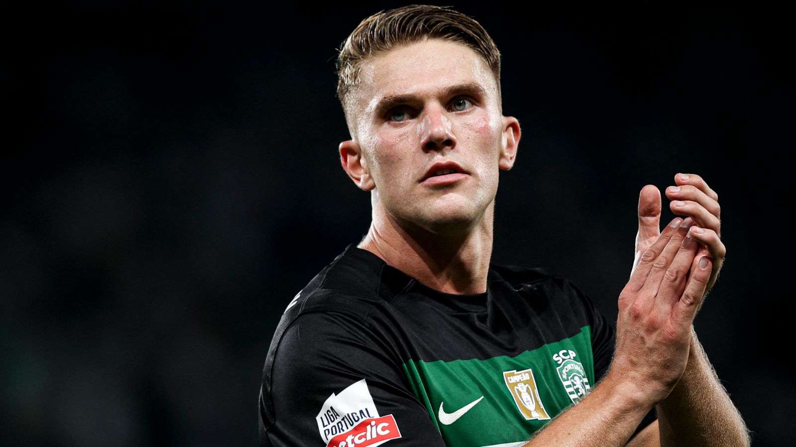 经足够明朗 经足够明朗