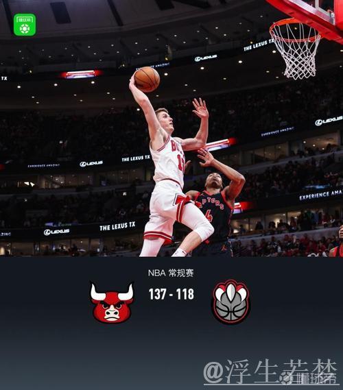 公牛137-118猛龙 科比-怀特砍下28分